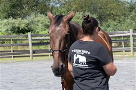 LR-WRF 08022025-Retreat-3128